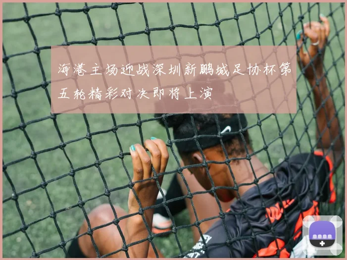 海港主场迎战深圳新鹏城足协杯第五轮精彩对决即将上演