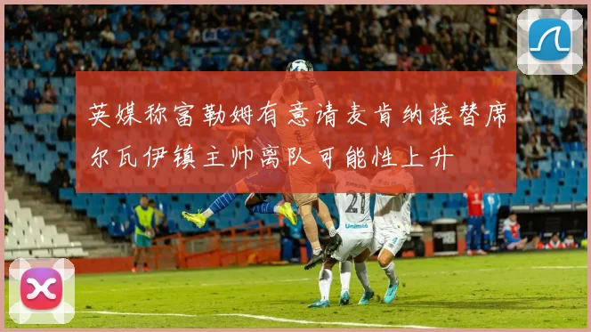 英媒称富勒姆有意请麦肯纳接替席尔瓦伊镇主帅离队可能性上升